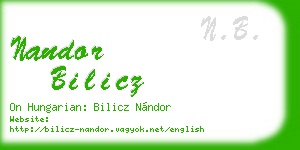 nandor bilicz business card