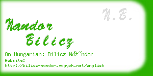 nandor bilicz business card